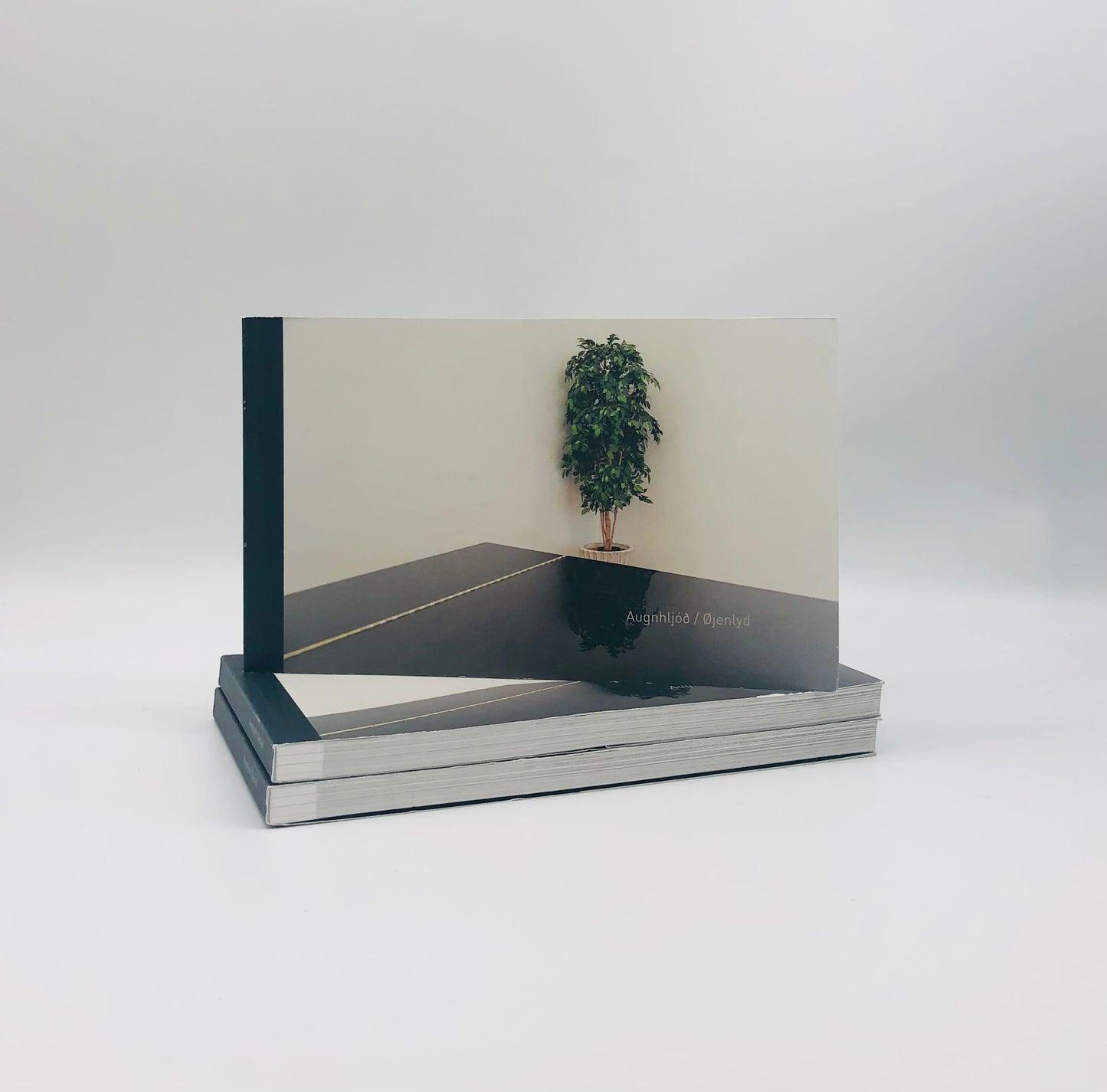 Augnhljod/ Ojenlyd Eye Sound Exhibit Book