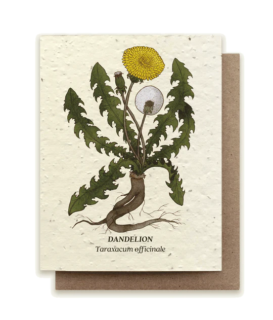 Small Victories Plantable Seed Cards