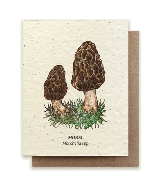 Small Victories Plantable Seed Cards