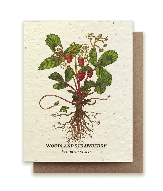 Small Victories Plantable Seed Cards