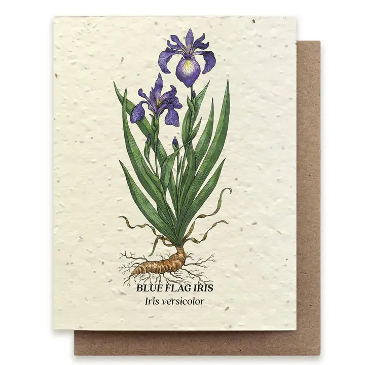 Small Victories Plantable Seed Cards